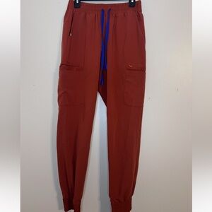 FIGS Zamora jogger scrub pants in sold out auburn color